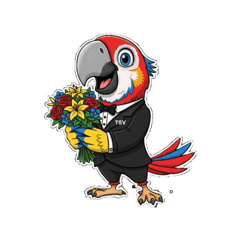 Sport Sticker by TSV Falkensee e.V.
