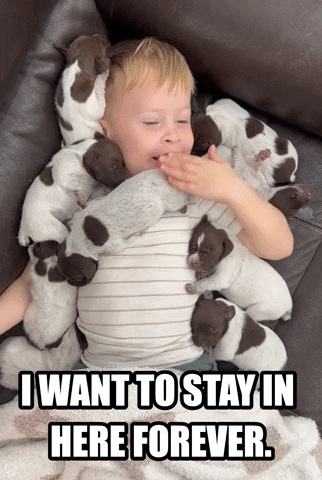 Video gif. Boy lays on a couch with at least nine young puppies on top of him. Most of them are sleeping or stirring in cute little ways. Text, "I want to stay in here forever."