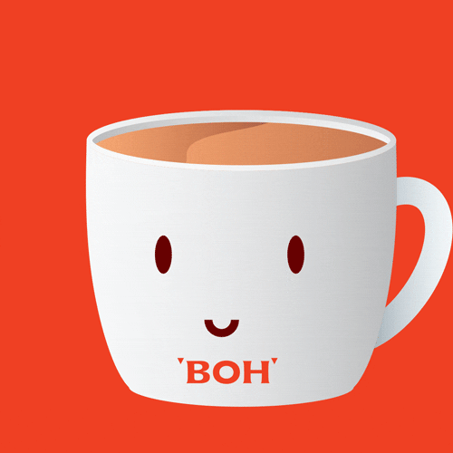 tea time chill GIF by BOH Tea