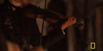 200.gif?cid=fc005b0826b53596c0c638e21f0257b054eab2d399088d91&rid=200.gif&ct=g