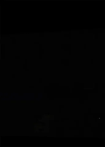 fireworks orgasms GIF