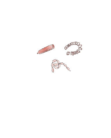 Kielbasa Sticker