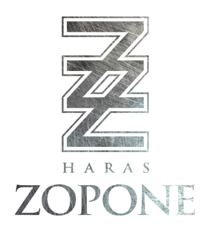 Quarterhorse Zopone Sticker