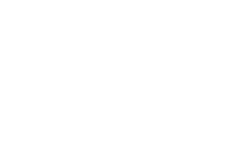 Leoniden Sticker by IRRSINNIRRSINN