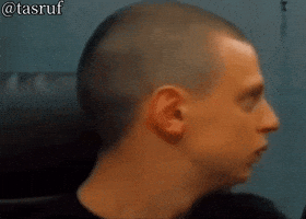 Funny Reaction What GIF