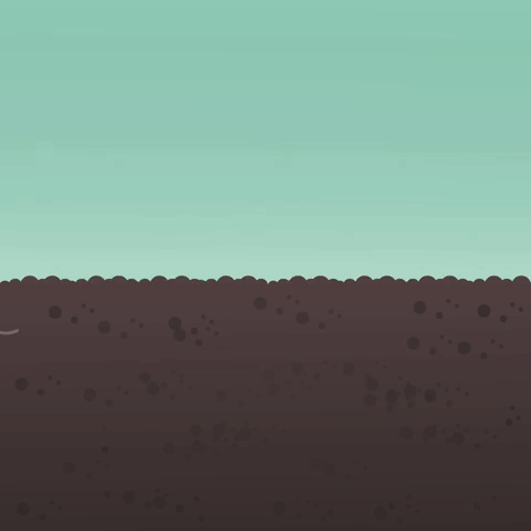 Animation Color GIF