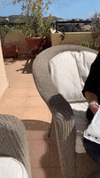200.gif?cid=fc005b08d98e02a224602cc925cf079b93ec074a8fba5077&rid=200.gif&ct=g