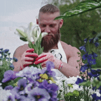 200.gif?cid=fc005b08291fed27adb250e38e624271c28ec742759558f9&rid=200.gif&ct=g