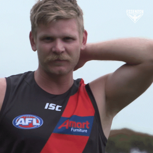 Cut It Out Sport GIF by Essendon FC