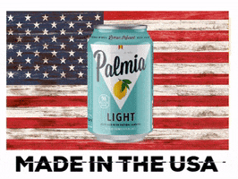 Celebrate American GIF by Palmia Beer