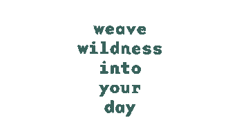 We Bloom Wild Sticker