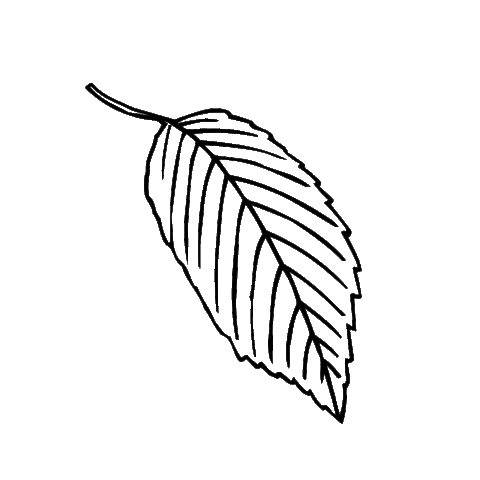 Nature Sticker