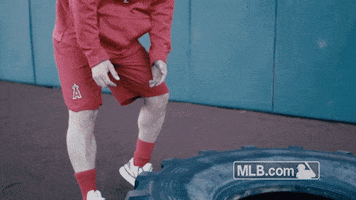 workout trout GIF by MLB