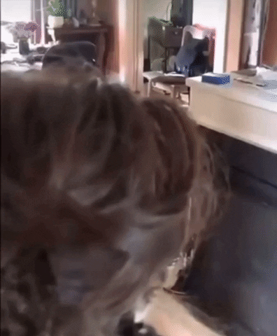 giphy.gif?cid=2154d3d723fb9652ad09eac5771996687271928ad617c760&ep=v1_gifs_username_username&rid=giphy.gif&ct=g