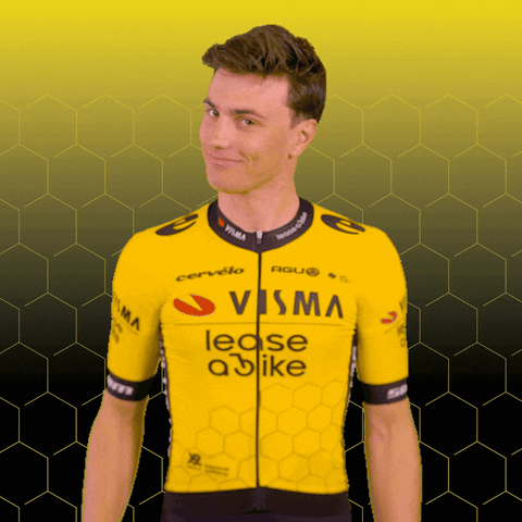 Sport Applause GIF by Team Visma | Lease a Bike