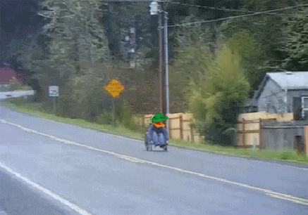 giphy.gif