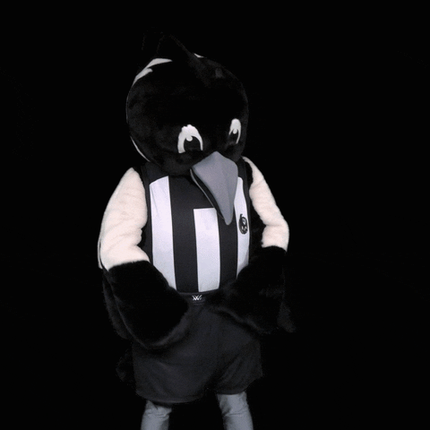 Sad Collingwood Magpies GIF by CollingwoodFC