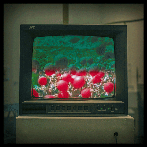 milton keynes television GIF by Nino Paulito