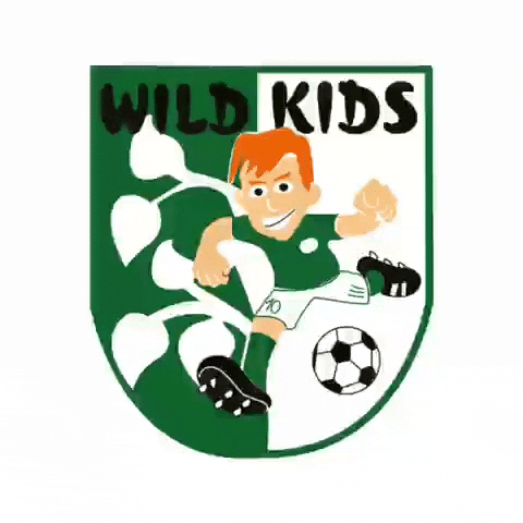 wildkids_fvschutterwald football soccer fussball fvs GIF