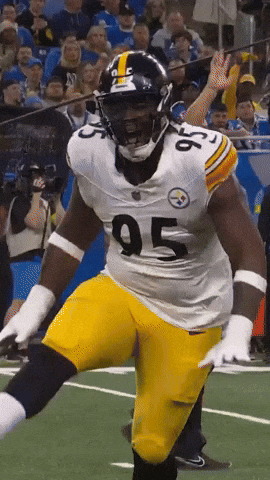 Excited Celebration GIF by Pittsburgh Steelers
