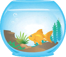 AquariumMe tired fish dream bowl GIF