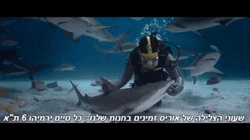 idankatz  GIF