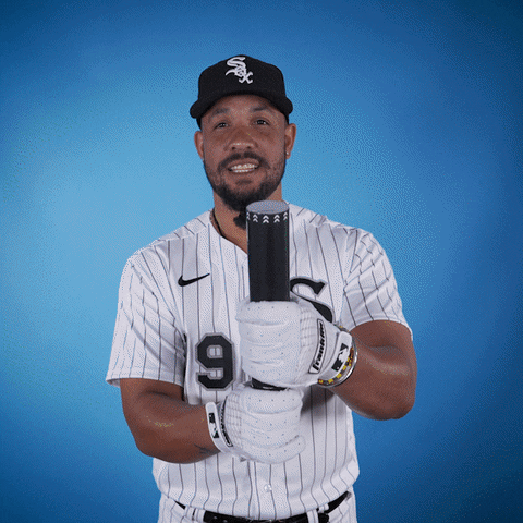 Happy White Sox GIF by Chicago White Sox