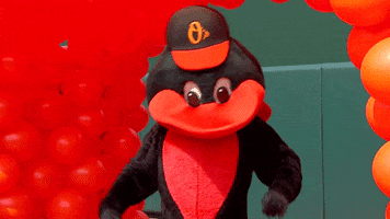 orioles baseball mascot baltimore orioles GIF