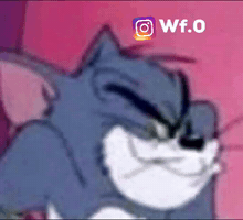 ميمز GIF