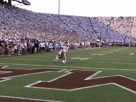 Sooners GIF