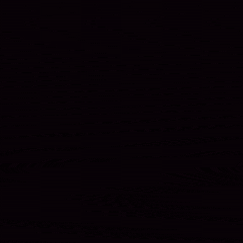 Party College GIF