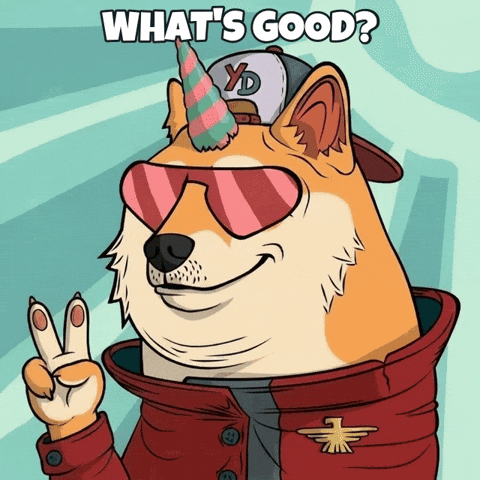 Party Greeting GIF by Doge Pound