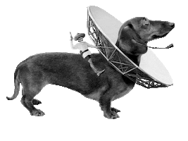 Sausage Dog Sticker by umlaut