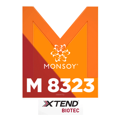 Monsoy Sticker by intactarr2pro