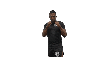 Bonjasky Academy Sticker