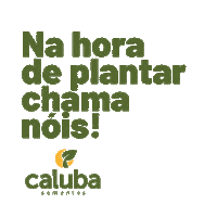 Soja Trigo Sticker by Caluba Sementes