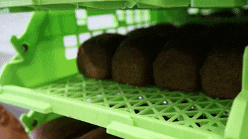 yamglutenvrij GIF