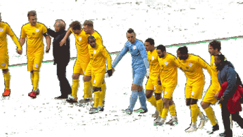 Danny Van Den Meiracker Win Sticker by Tweede Divisie