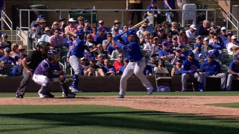 Willson Contreras Cubs GIF by Marquee Sports Network - Find