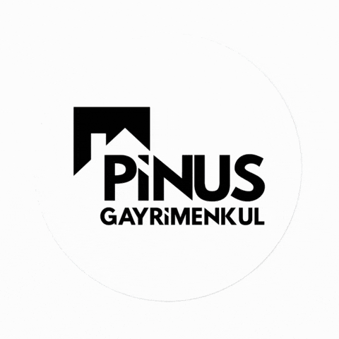 Pinus GIF by Bergama Gündem - Şehrin Gündemi