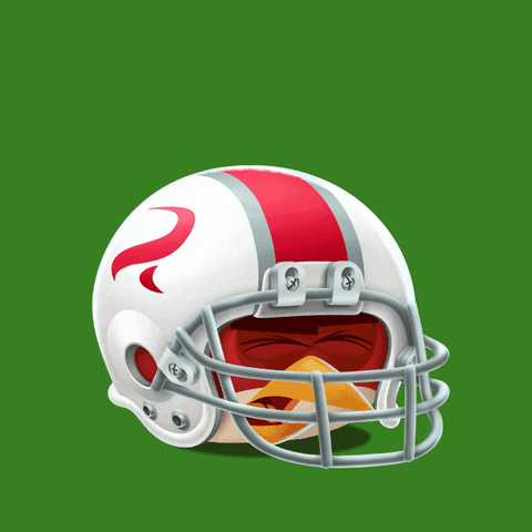 Football Helmet GIF by Angry Birds