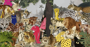 Jungle Animaux GIF by Temple Caché