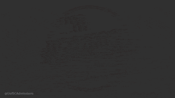 South Carolina Usc GIF by University of South Carolina Admissions