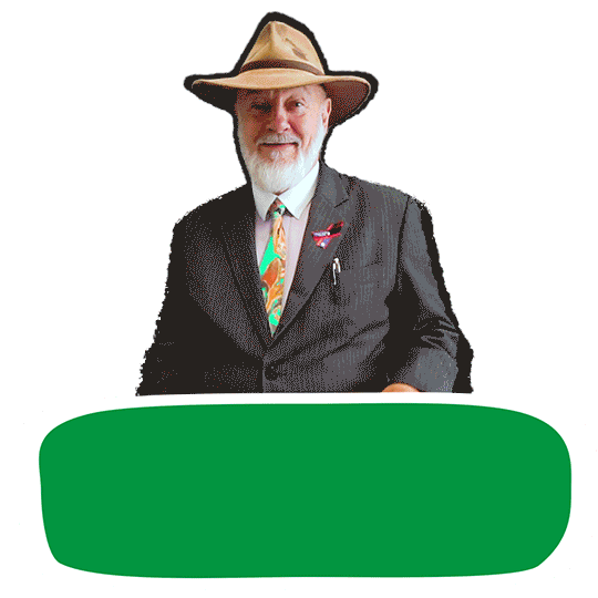 Climate Change Australia Sticker by Robin Chapple MLC