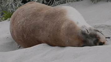 Monday GIF