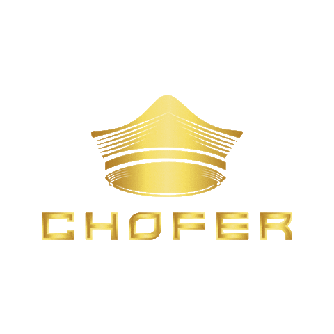 Neewdigital Choferapp Sticker by App Chofer