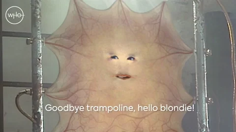 David Tennant Trampoline GIF by Doctor Who