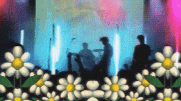 Music Video Flowers GIF by Polyvinyl Records
