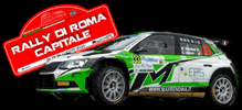 Rally di Roma Capitale GIF