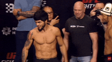 Ufc GIF